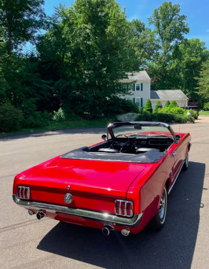 Ford Mustang Cab Sylc Export