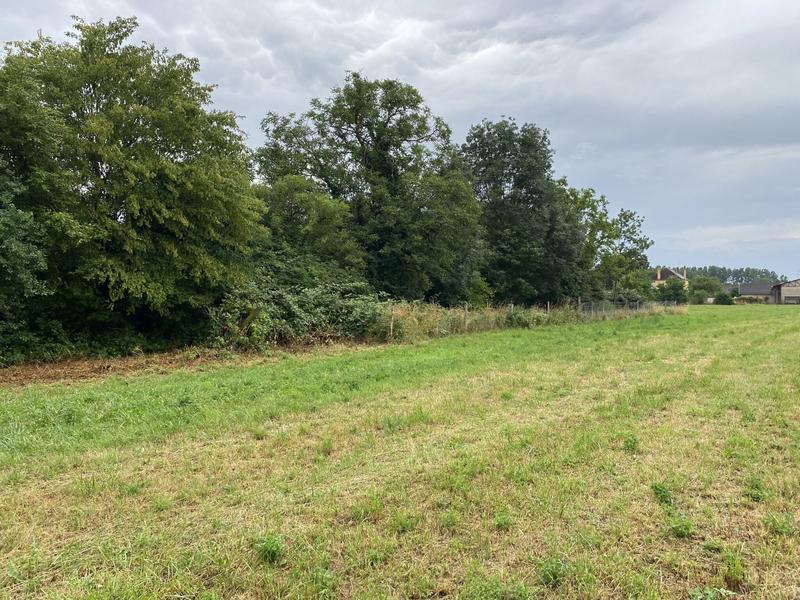 Terrain - 14 424 m²