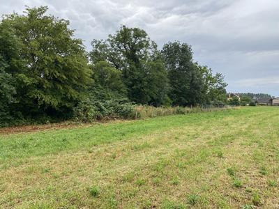 Terrain - 14 424 m²