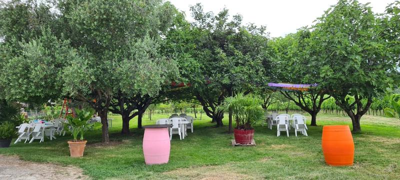 Soirées dégustation au Domaine les bertins