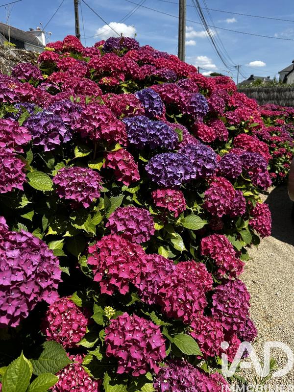 Maison - 173 m² - 7 pièces