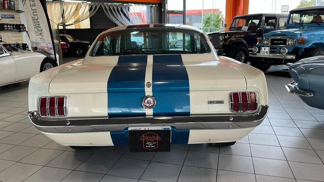Ford Mustang Fastback Clone Gt 350 1965