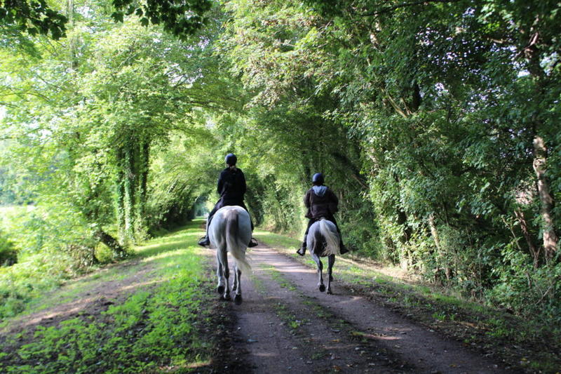 Terrain constructible - 850 m²