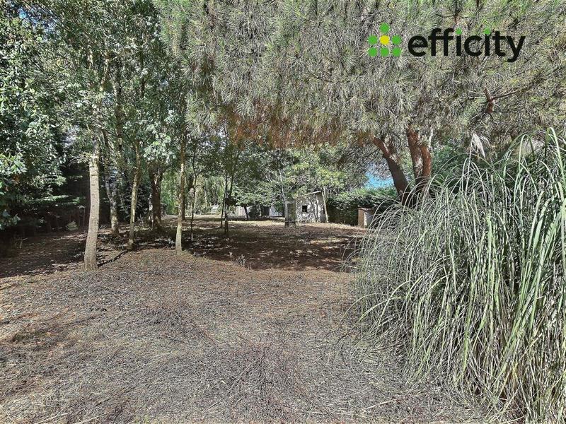 Pavillon - 75 m² - 2 pièces