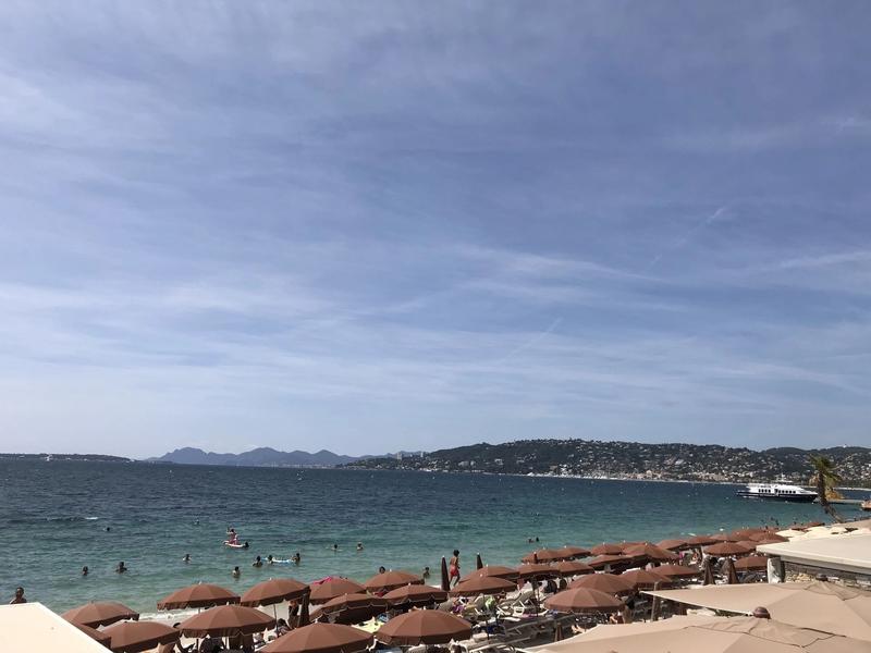 Studio - 20 m² - 1 pièce