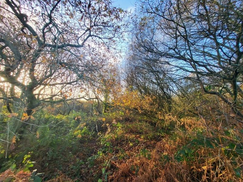 Terrain - 62 680 m²