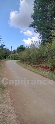 Terrain constructible - 7 647 m²
