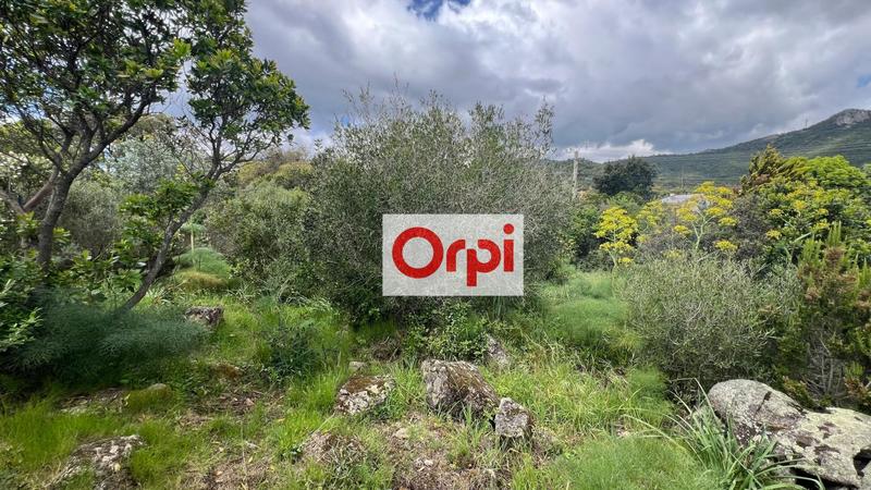 Terrain constructible - 1 764 m²