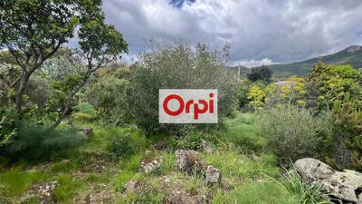 Terrain constructible - 1 764 m²