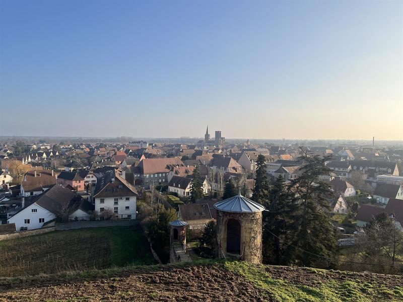 Initiation au trail, découverte sportive de Rouffach