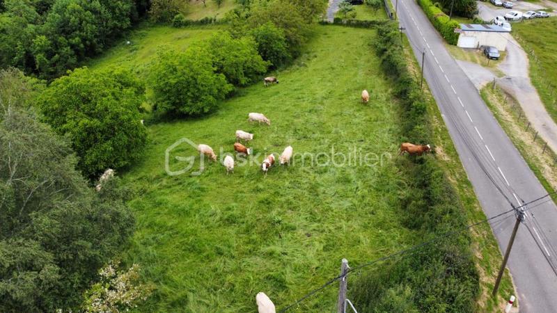 Terrain - 13 255 m²