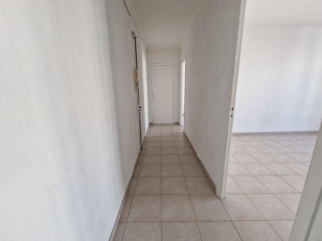 Appartement - 53 m² - 2 pièces