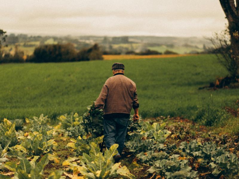 Semaine de la Biodiversité - Journée technique : Cultiver avec le Vivant à la ferme de lombrics "Happy Vers"