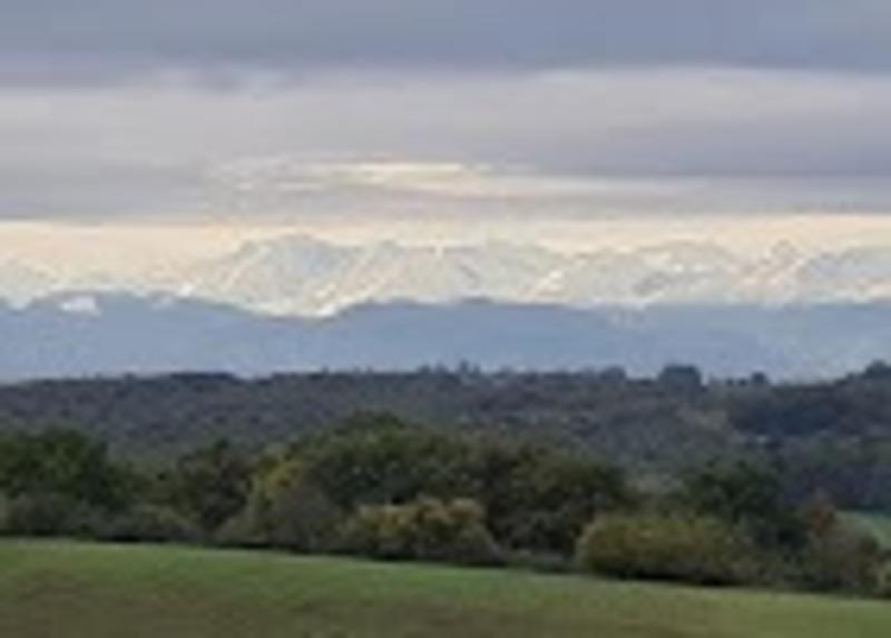 Château - 2 000 m² - 38 pièces