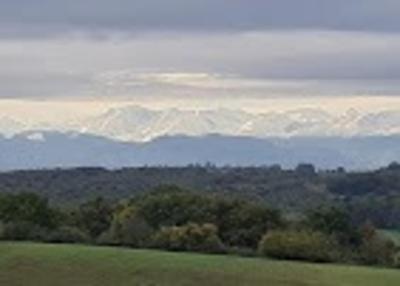 Château - 2 000 m² - 38 pièces