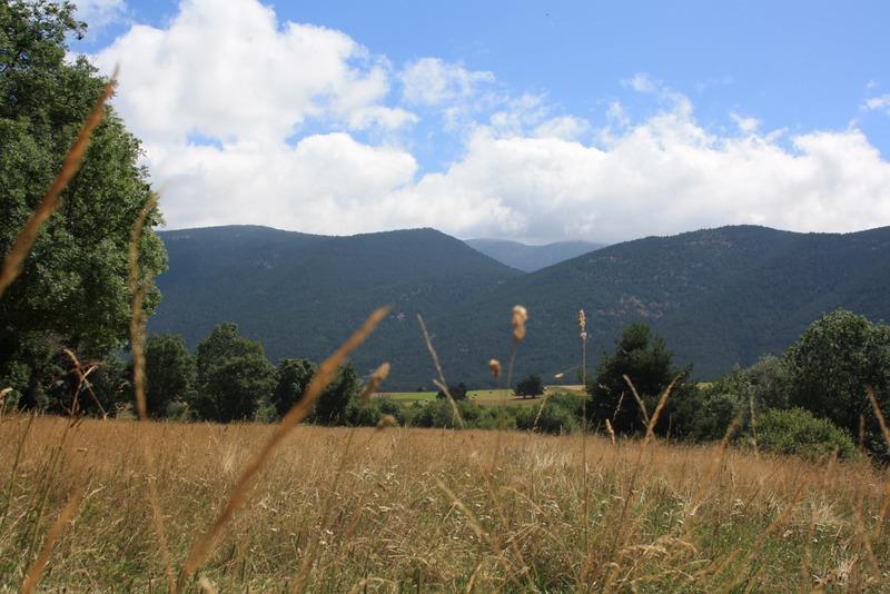 Terrain constructible - 419 m²