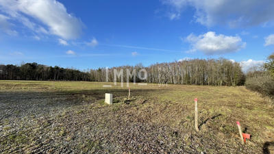 Terrain - 3 600 m²
