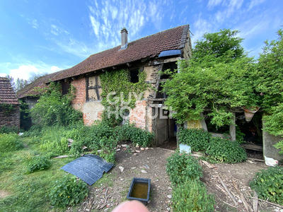 Maison - 1 600 m² - 6 pièces