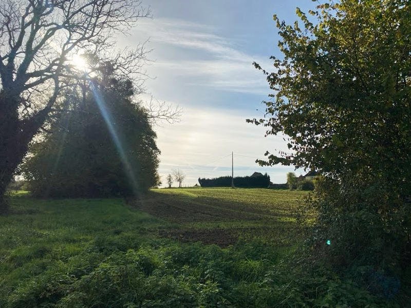 Maison - 50 m² - 1 pièce