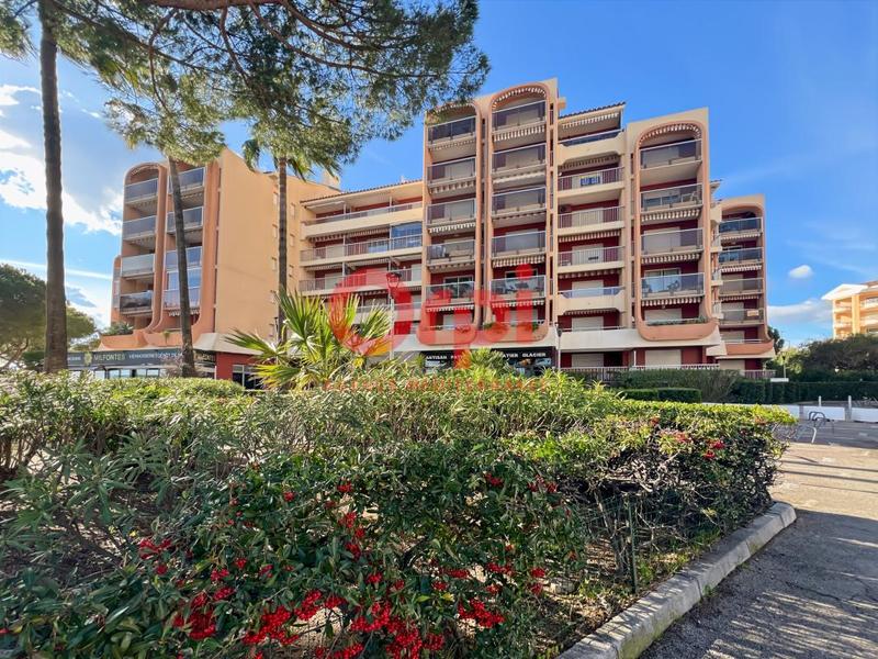 Appartement - 36 m² - 2 pièces