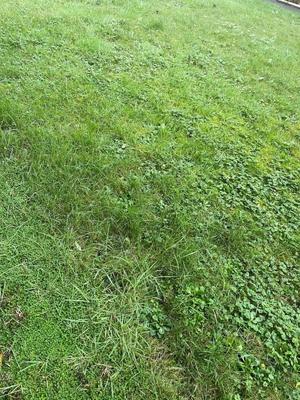 Terrain constructible - 423 m²