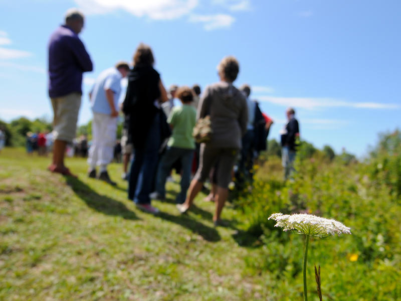 Marche du temps profond autour du Mont-Canisy