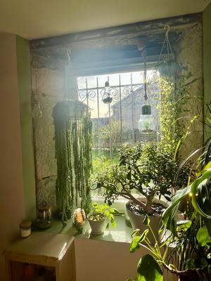 Maison - 125 m² - 3 pièces