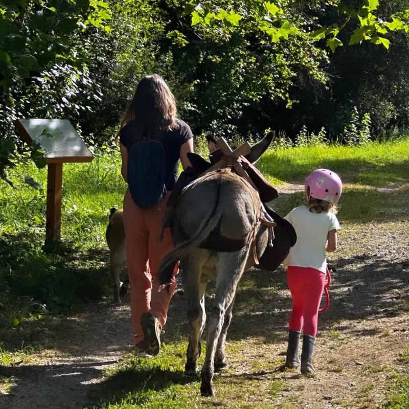 Jeu de piste à la découverte d'Uzerche avec les ânes