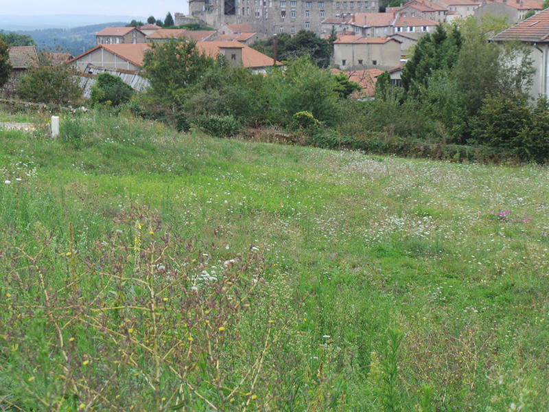 Terrain - 723 m²