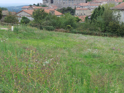 Terrain - 723 m²