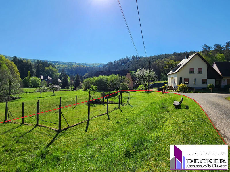 Maison - 239 m² - 10 pièces