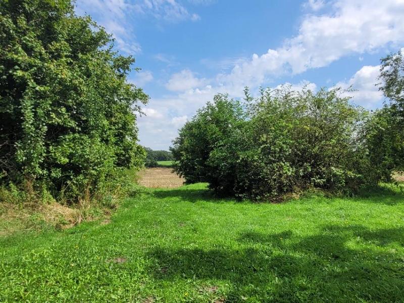 Maison - 239 m² - 8 pièces