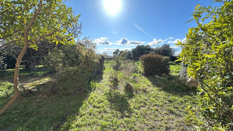 Maison - 204 m² - 5 pièces