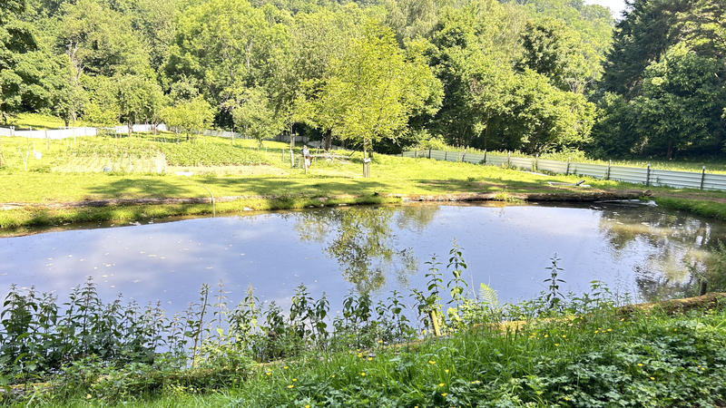 Maison - 200 m² - 5 pièces