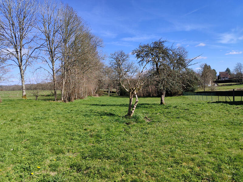 Maison - 115 m² - 1 pièce