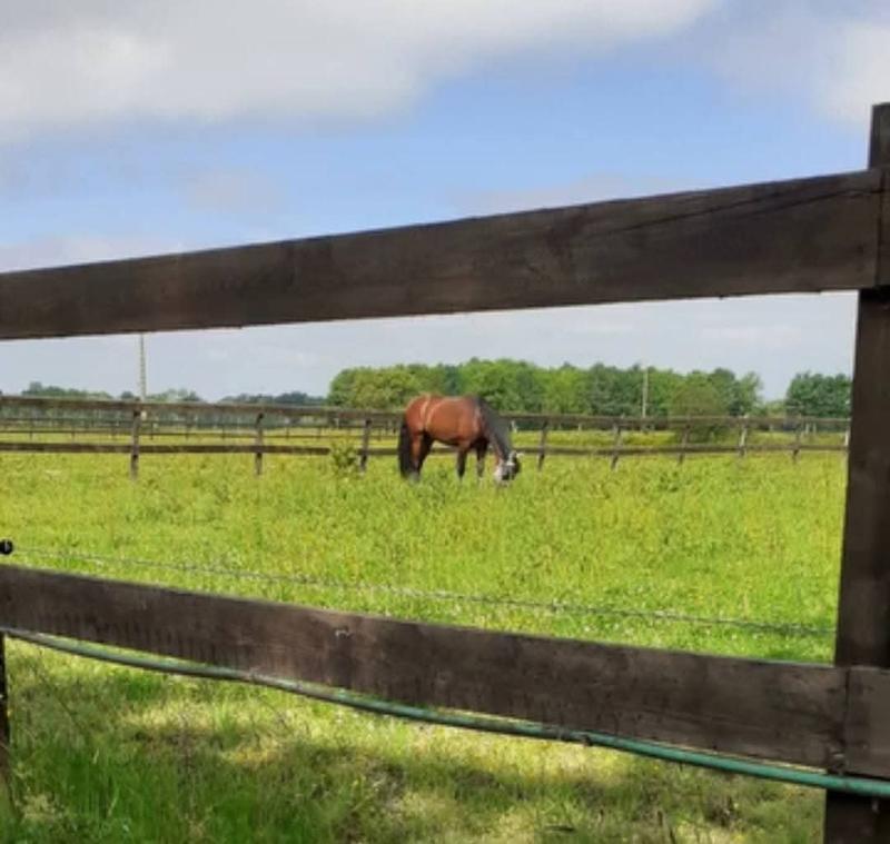 Maison - 132 m² - 9 pièces