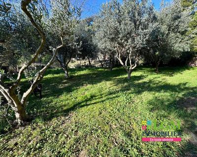 Villa - 164 m² - 5 pièces