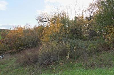 Terrain constructible - 1 700 m²