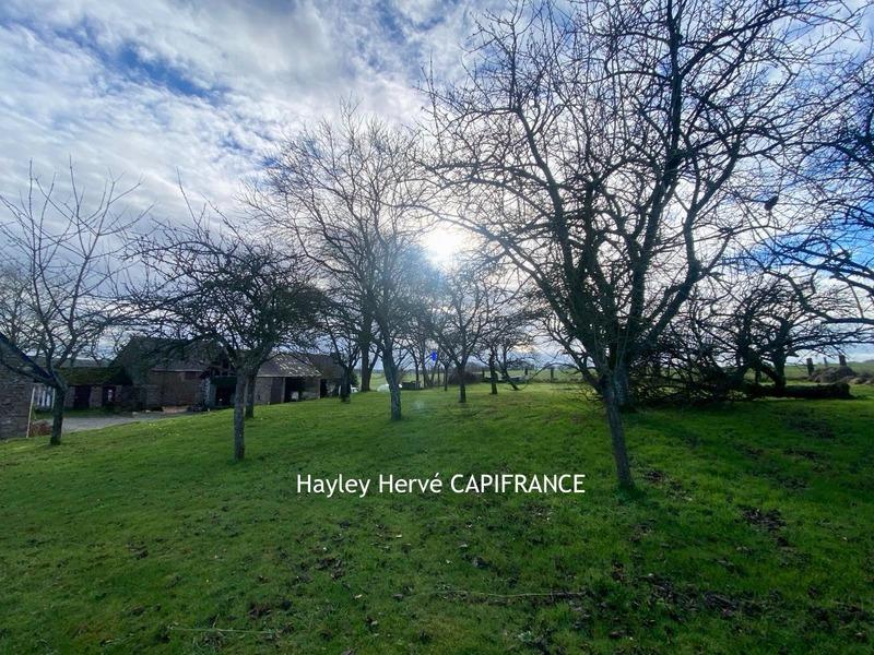 Maison en pierre - 170 m² - 6 pièces