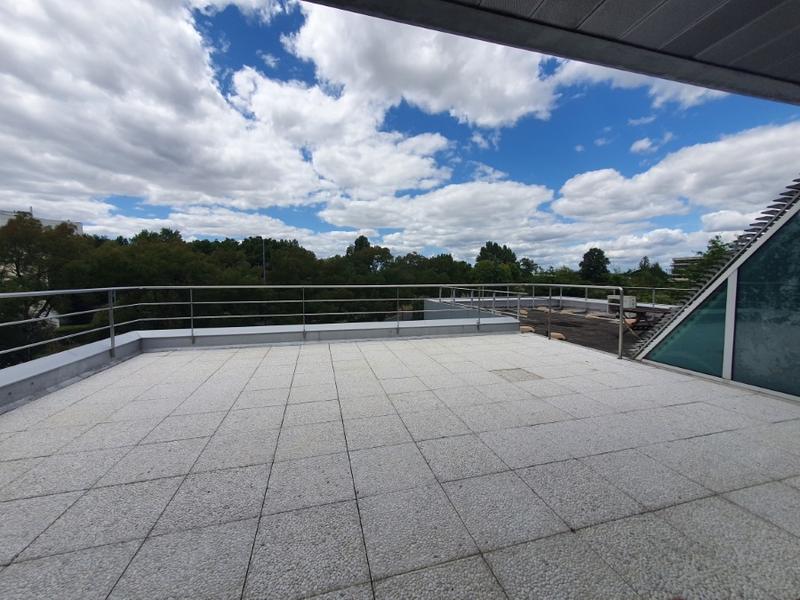 Bureau - 136 m²