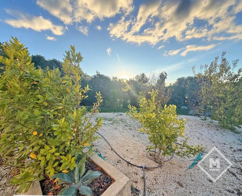 Maison d'architecte - 250 m² - 7 pièces