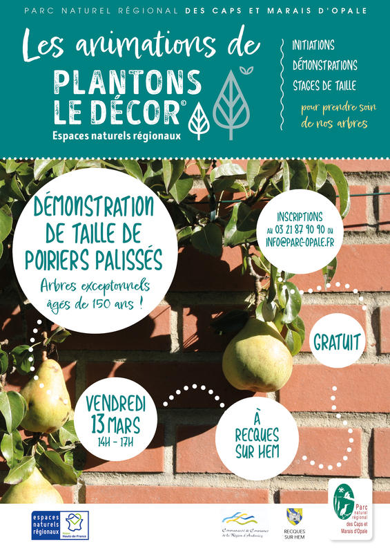 Démonstration : taille de poiriers palissés