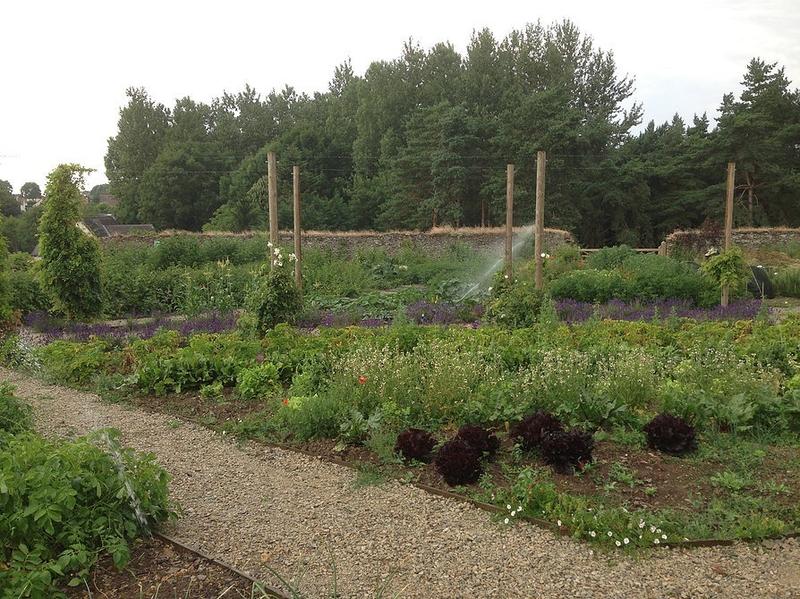 Manoir - 700 m² - 20 pièces