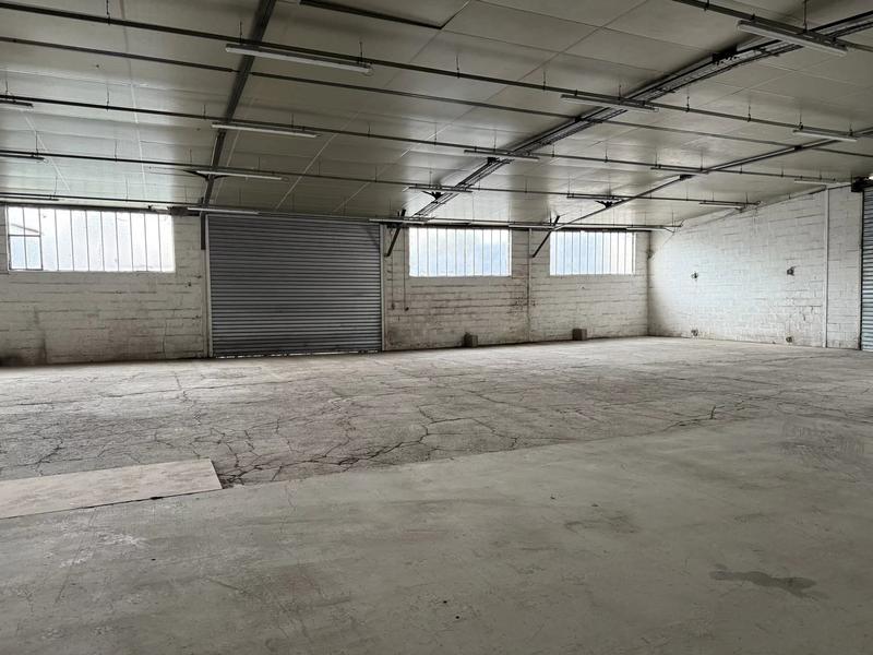 Bureau - 651 m² - 4 pièces