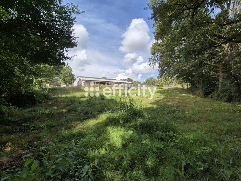 Maison - 200 m² - 7 pièces