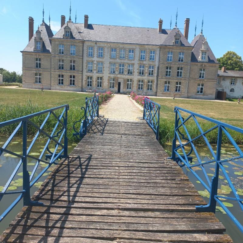 Château - 1 535 m² - 36 pièces