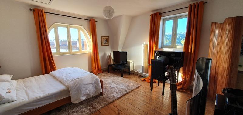 Hôtel particulier - 350 m² - 15 pièces