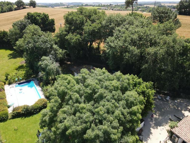 Maison en pierre - 355 m² - 11 pièces