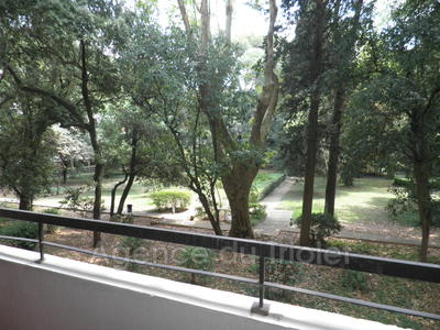 Appartement - 28 m² - 1 pièce