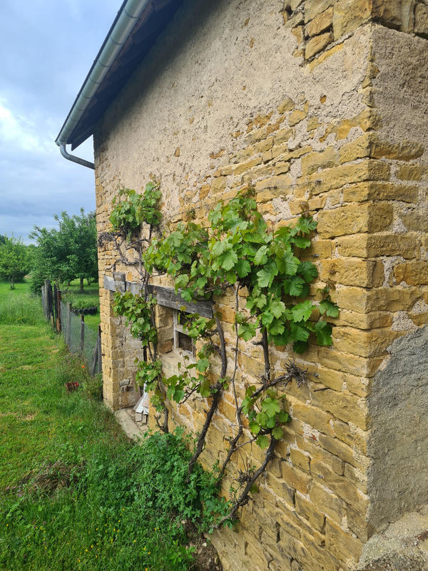 Maison - 270 m² - 1 pièce